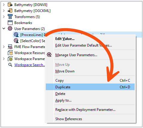 Duplicating a user parameter